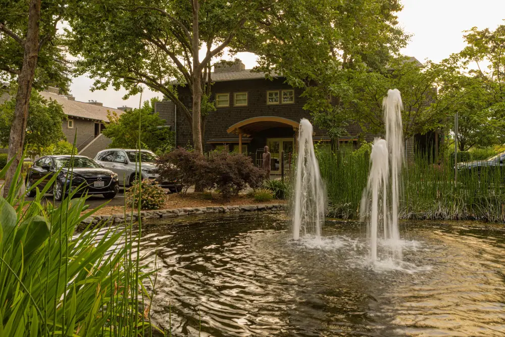 a water fountain in front of a house