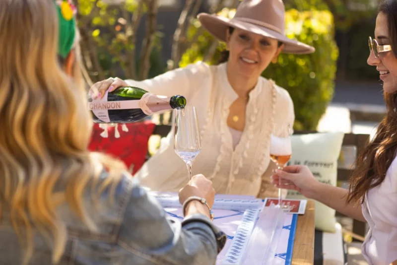 a woman pouring a glass of wine to another woman
