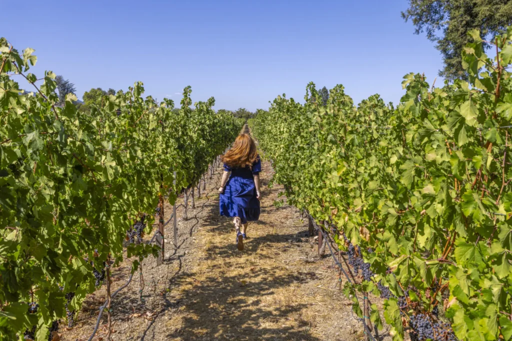 Woman running through a vineyard.