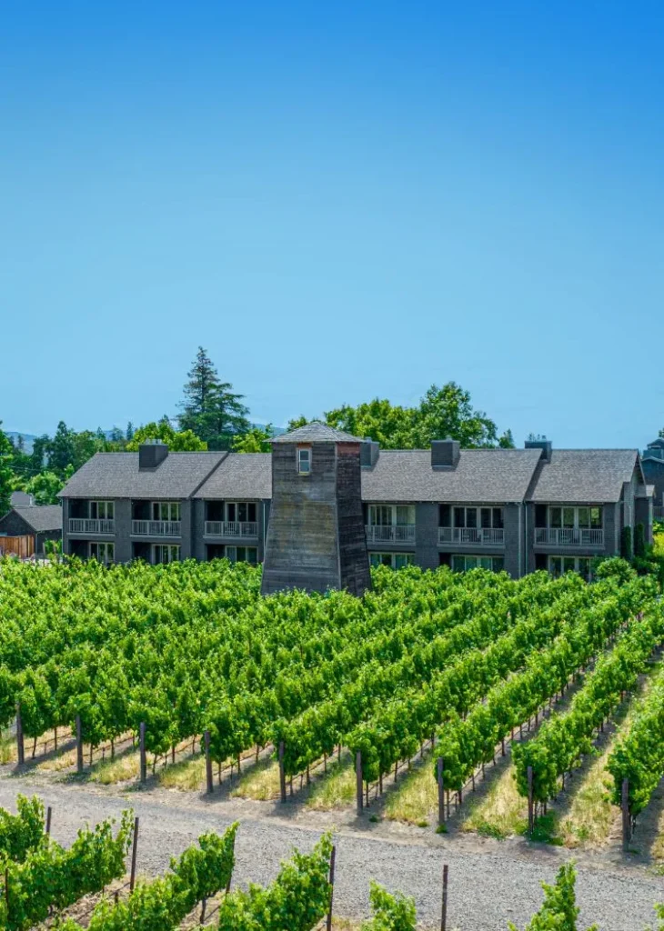 Senza Hotel building surrounded by lush green vineyard rows under a clear blue sky.