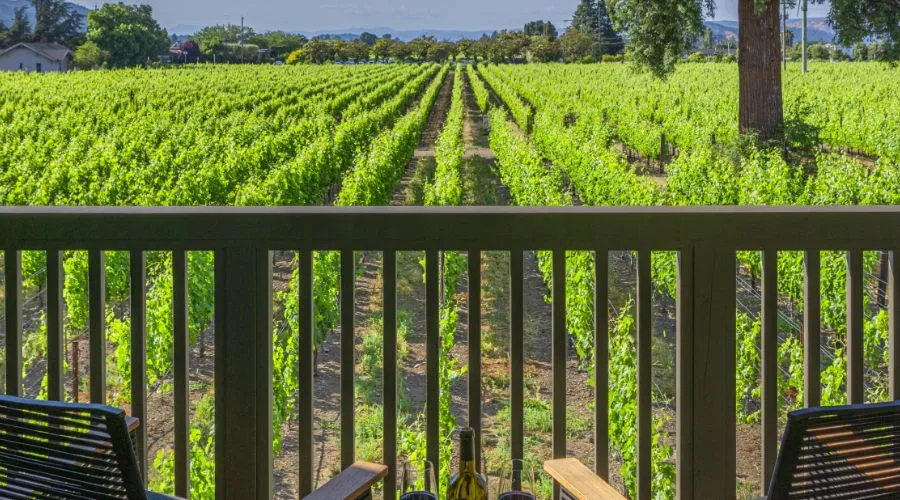 Balcony view overlooking lush green vineyard rows with wine and glasses